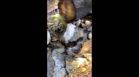 7-water-way-back