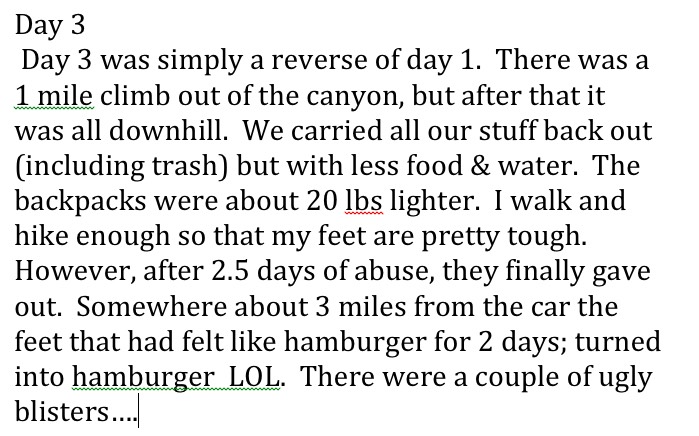 Day 3