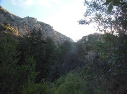 DSCN2554