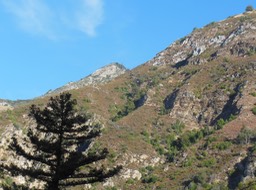 DSCN2558