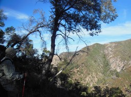 DSCN2560
