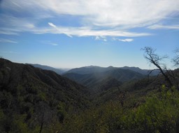 DSCN2579
