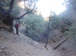 DSCN2813