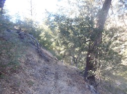 DSCN2814