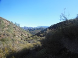 DSCN2821