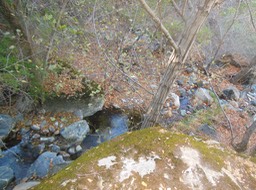 DSCN2845