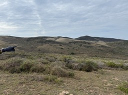 IMG_1069