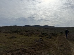 IMG_1076