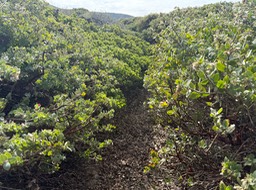 IMG_1077