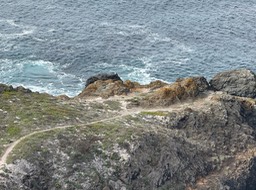IMG_1086