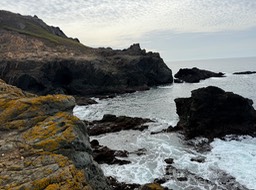IMG_1088