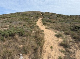 IMG_1112