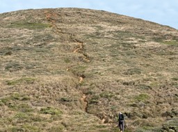 IMG_1115