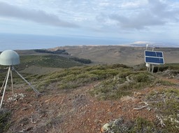 IMG_1136