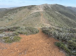 IMG_1142