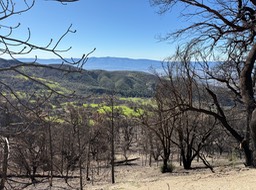 IMG_1270