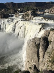 IMG_2500