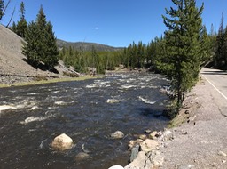 IMG_2573