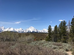 IMG_2790