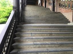 IMG_8462