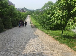 IMG_8490 2