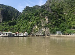 IMG_8539