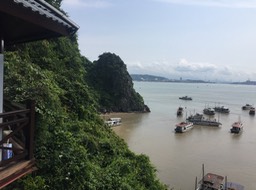 IMG_8583