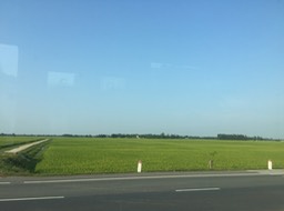 IMG_8883