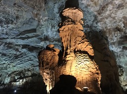 IMG_8950