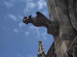 IMG_9153