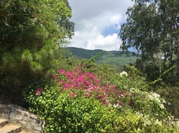 IMG_9270