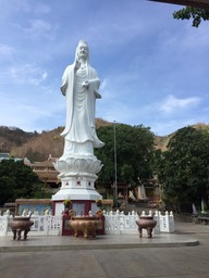 IMG_9665