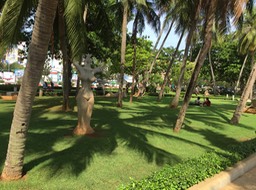 IMG_9674