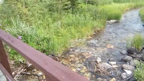 water-hope