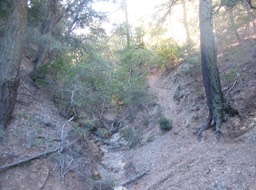 DSCN2812