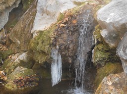DSCN2826