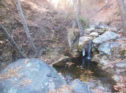 DSCN2827
