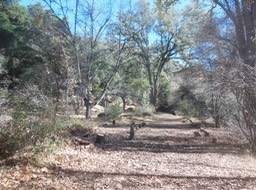 DSCN2832