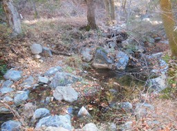 DSCN2839