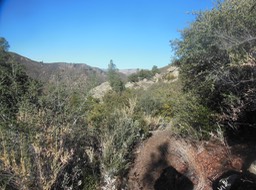 DSCN2847