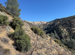 IMG_1007