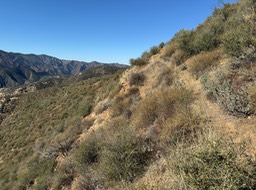 IMG_1019