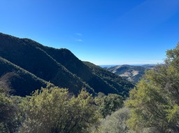 IMG_8751